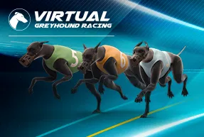 Greyhound Racing